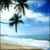 Animated beach scene with palm trees, blue sky, and ocean waves transitioning to pink flowers on white background.