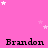 Pink background with white stars and repeated black text "Brandon" in a pattern