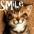 A pixelated collage of four distinct cat images with text and background elements.