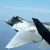 fighter jet images with text overlays in blue and red, forming a phrase about supporting troops