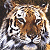 Pixelated close-up of a tiger's face with brown, white, and black stripes on the left; green background with bright green text 'Original Icons .com' on the right.