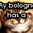 A four- of a cat's face with pixelated text overlays, each showing different text and slight facial expression changes