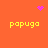 Orange background with four yellow 'papugo' texts arranged in a , each text paired with a pink pixelated symbol above or below it