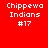 Red and black pixelated text displays 'Chippewa Indians #17' across six distinct with varying background and text color arrangements