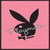 Animated sequence of a rabbit head logo in four distinct color variations against solid backgrounds.