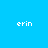 Blue background with pink rectangular blocks and white text 'erin' repeated six times in pixelated font.