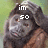 Pixelated monkey face with brown fur and gray skin, holding a hand to its head in two showing text changes