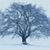Pixelated blue-toned tree icon with dense foliage against a light blue background, rendered in low-resolution digital style.