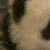 Doll Buddie Icons