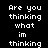 Pixelated text on black background with gray rectangle, stating 'Are you thinking what im thinking compared to their tiny bodies they're just MASIVE' and 'Chihuahuas have freakishly large ears i mean'.