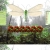 A pixelated static image shows a light-colored insect with translucent wings resting on a dark green leafy surface with brown accents.