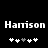 Two identical pixelated text displays of 'Harrison' with five star icons below each, where the third icon from left is grayed in one display and white in the other.