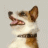 A 48x48 pixel buddy icon split into two sections: a dog on the left and green text on the right, with visible pixelation and dithering effects.
