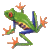 Green frog with blue limbs and orange star-shaped hands/feet, positioned in a dynamic pose against gray background.