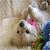 Animated sequence of a light-colored dog lying on its back with pink and green accents, transitioning to a dark-furred animal curled up, then to a small figure in white against black.
