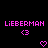 Pixelated pink text 'LIEBERMAN' appears twice on black background with two heart symbols and a '<3' symbol below each name.