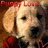 A four- of dog images with overlaid text: top-left puppy, top-right teddy bear, bottom-left black-and-white dog, and a blank