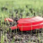 A pixelated image shows a red vehicle with a white roof section against a blurred green and brown background.
