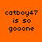 Orange background with black pixelated text 'catboy47 is so gooone' displayed in four distinct white rectangular sections.