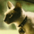 Pixelated close-up of a dog's face with light brown and black fur, visible ears, and a greenish background.