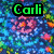 Pixelated image with blue-green floral background, green 'Carli' text top-left, yellow '&' symbol right, purple 'Devyn' text bottom-left.