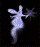 Pixelated figure with glowing pastel colors holds a dark star-shaped object against black background, transitioning to pose without the object.