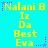 Yellow text on cyan background with pink and purple star-like sparkles, repeating 'Nalani B Iz Da Best Eva' in two with pixelated font