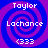 Four identical pixelated spiral icons with blue and purple concentric rings, each displaying white text: 'Taylor', 'Lachance', '(333)' in a vertical stack.
