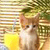 A pixelated cat with light brown and white fur stands against a blurred background of horizontal lines and green foliage.