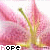 iconhell_applesauce17_hope
