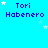 Pixelated blue background with repeated 'Tori Habenero' text and white stars in a