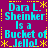 Cyan text on magenta background reads 'Dara L. Sheinker is a Bucket of Jello!' with yellow asterisks and dotted lines, repeated in four identical quadrants.