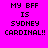 Four pixelated text in a display 'MY BFF IS SYDNEY CARDINAL!!' with varying background colors