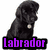 Six dog breed images arranged in a with purple text labels below each, plus one rainbow heart paw print icon on the bottom right