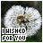 A dandelion seed head with text 'I WISHED FOR YOU' in pixelated font, displayed across showing green checkmark animation