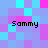 Pixelated of cyan, purple, and pink squares with four instances of the text 'Sammy' in black pixelated font
