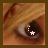 A close-up of a human eye with light brown hair, featuring a white star and four small white dots arranged in an arc above it.