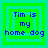 Four identical pixelated squares with green and cyan borders display blue text reading "Tim is my home dog" in a retro digital style.