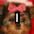 A pixelated dog with a pink bow appears in four , displaying text changes from 'I' to 'Love' and partial words
