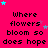 A static image with a bright pink background displays repeated text "Where flowers bloom so does hope" in black pixelated font, surrounded by small cyan and purple stars.