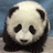 Pixelated panda face on left, cyan background with pink text reading "This panda is as cute as... zac efron!!!" on right.