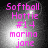 Four identical display pink text on a gray gradient background with bright light spots, each showing "Softball Hottie #14 marina jone"