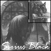 Black-and-white image of a woman with long hair facing away from the viewer, overlaid with three inset showing different animal and human figures