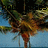 A palm tree with green fronds and a brown trunk stands against a blue sky background, with a white area on the right side.