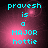Cyan text 'provesh is a MAJOR hottie' on pink gradient background with subtle light effects.