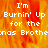 Pixelated text reads "I'm Burnin' Up for the Jonas Brothe" over a fiery orange-yellow background with visible pixelation and partial text truncation.