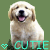Two pixelated golden retriever puppies sit side-by-side on grass against a green background, both with open mouths showing pink tongues and black noses. The left puppy has slightly wider eyes than the right one.