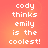 Pixelated white text on a gradient orange background reads "cody thinks emily is the coolest!" in four identical arranged in a