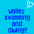 Blue background with white pixelated heart icon above blue pixelated text reading 'valley swimming and diving!!' in two identical vertical