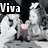 Animated icon shows two figures with a pink heart, text changes from 'Viva' to 'Gillum' across frames.